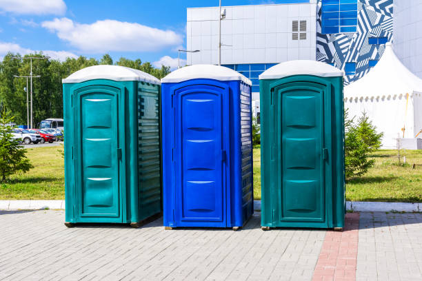 Best Portable Toilets for Parks and Recreation Areas  in Carpendale, WV