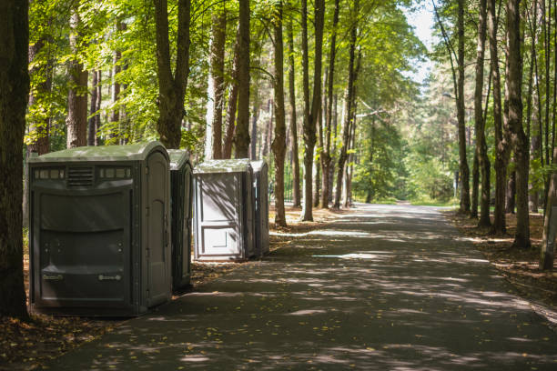 Best Deluxe Portable Toilet Rental  in Carpendale, WV