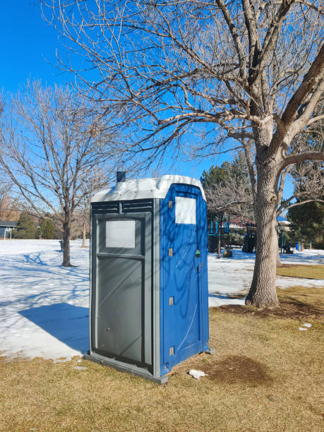 Best Standard Portable Toilet Rental  in Carpendale, WV